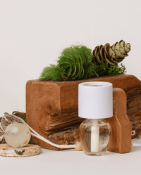 Holiday EHREE Scent Bottles + Plug-in