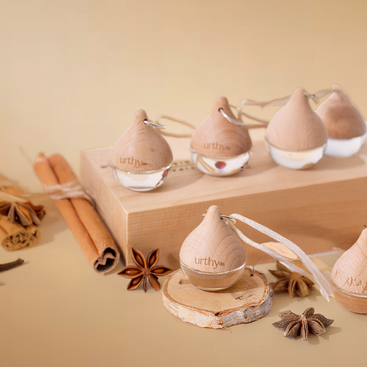 Holiday Car Diffusers