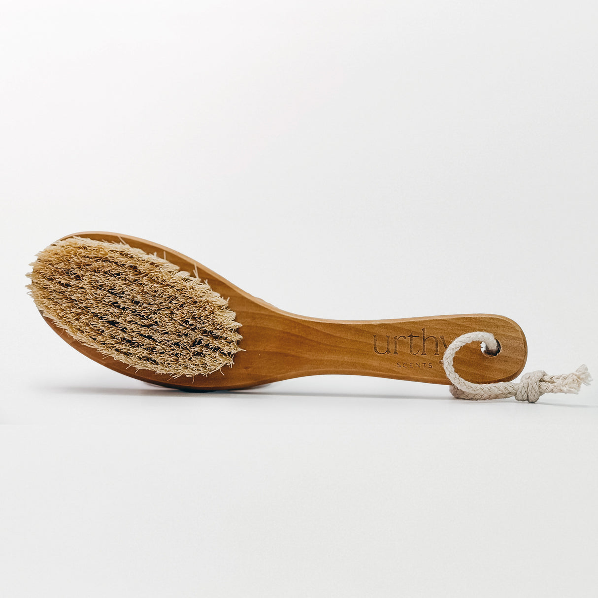 Boar's Hair Dry Brush