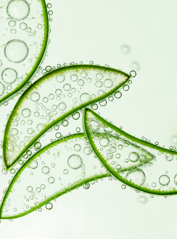 Ingredient image