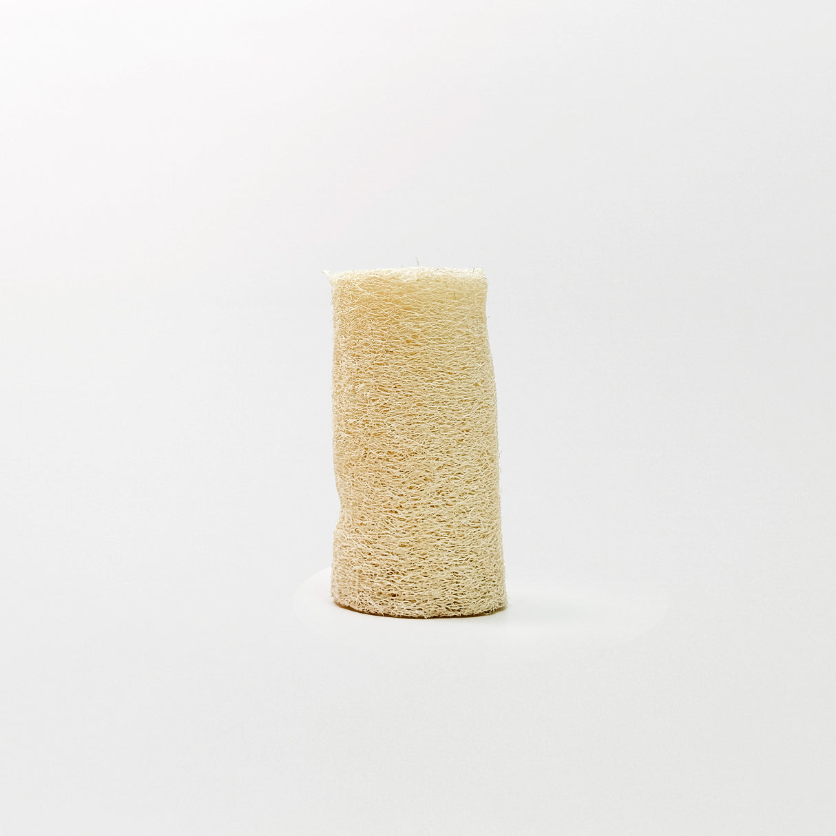 Loofah