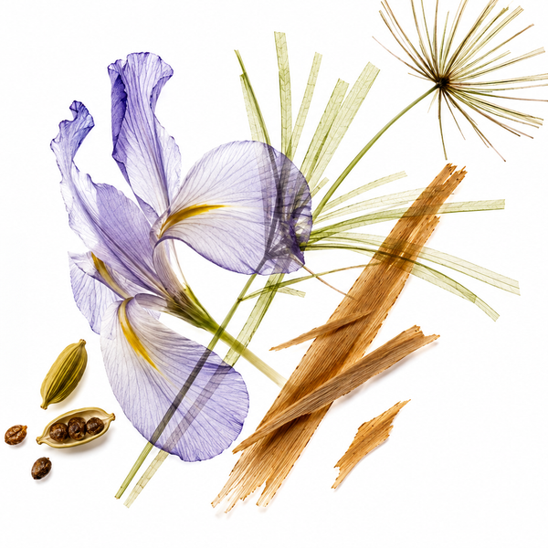 WILD INDIGO