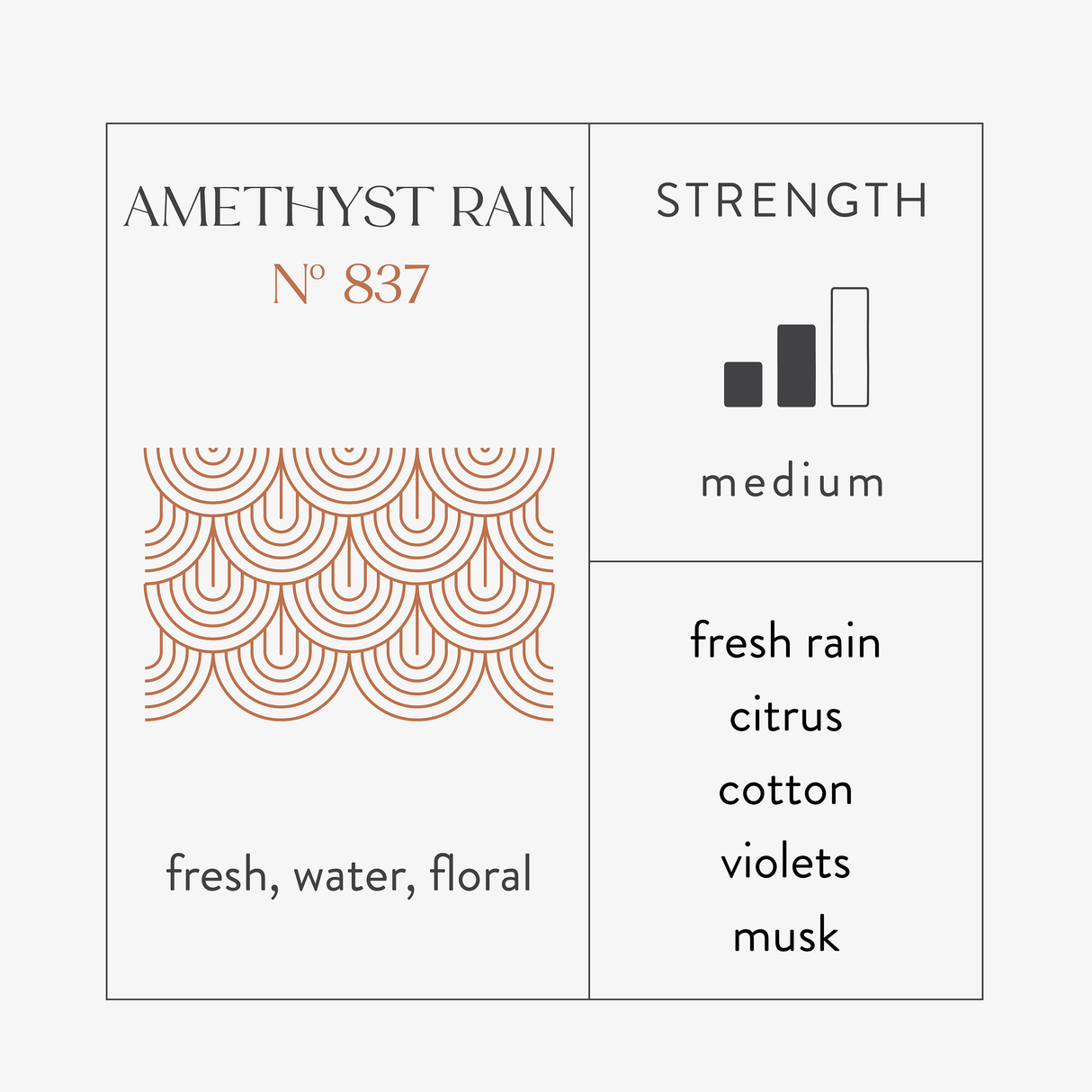 Scent Discovery Kit