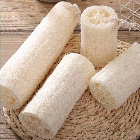 Loofah