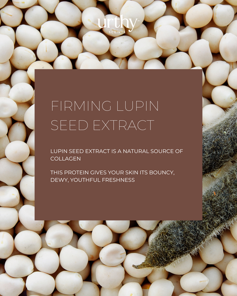 Lupine Seed Extract - What is it and why should I care?