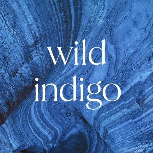 Wild Indigo