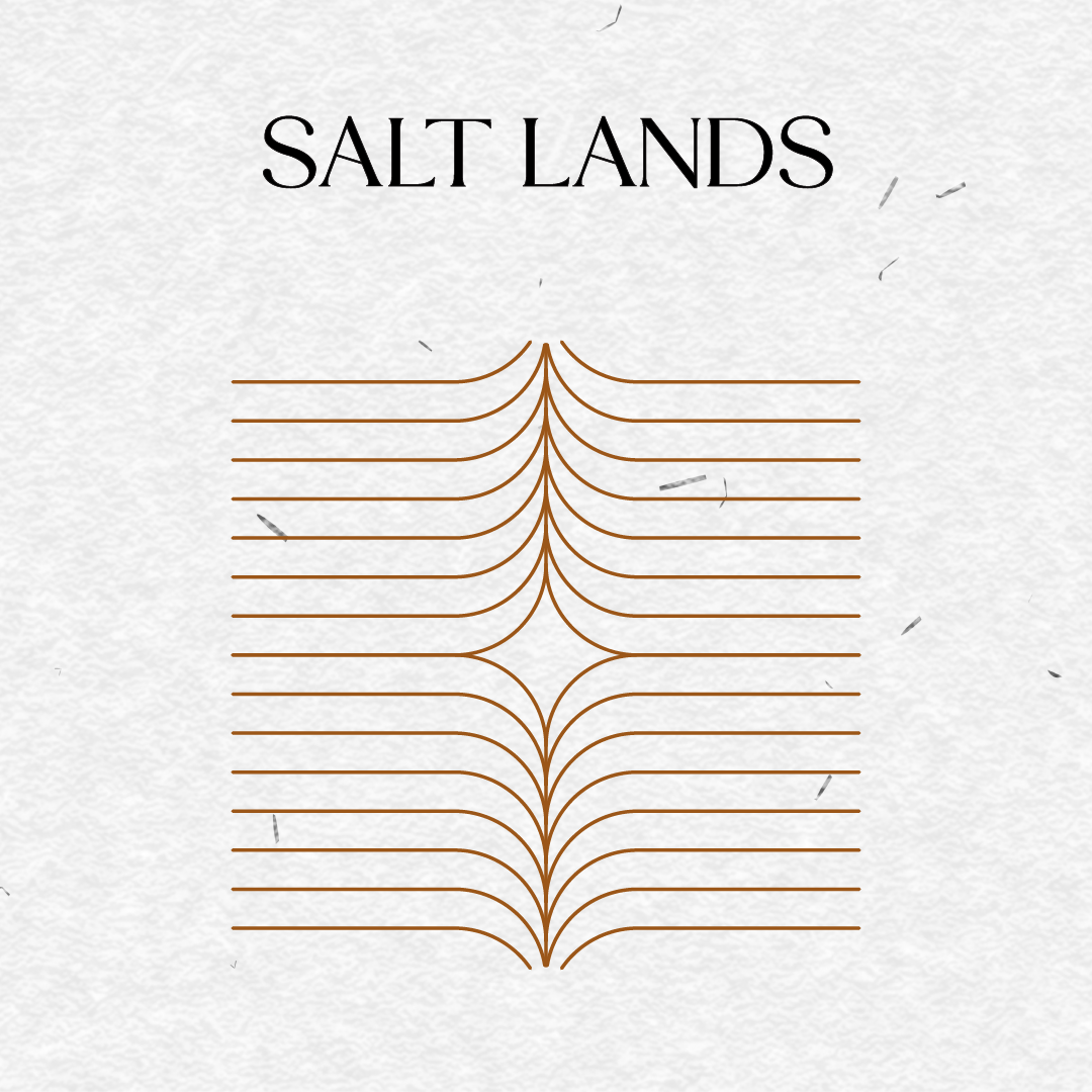SALT LANDS
