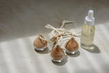 Holiday Car Diffuser Set