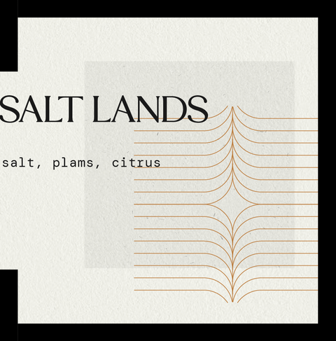 Salt Lands is a mysterious blend of salty, earthy, and mineral-like aromas of sea salt, lush palms, tangy citrus, and musk, leaving your mind, body and soul feeling refreshed and invigorated.