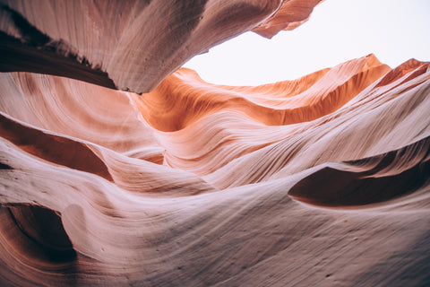 Canyon Gap Scents