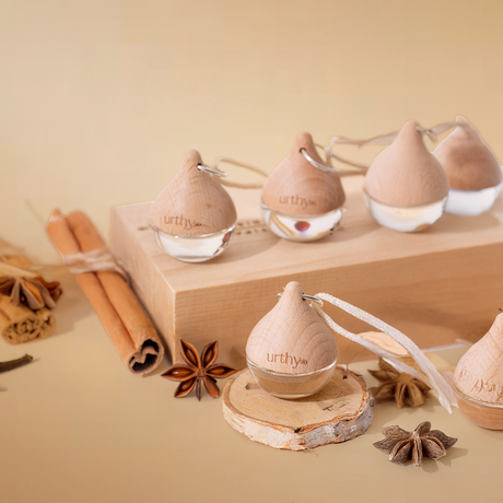 Holiday Car Diffusers