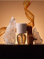 Salted Caramel EHREE kit