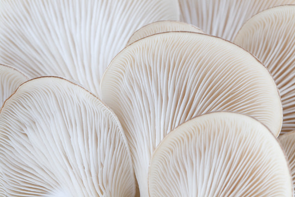 Ingredient image