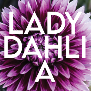LADY DAHLIA
