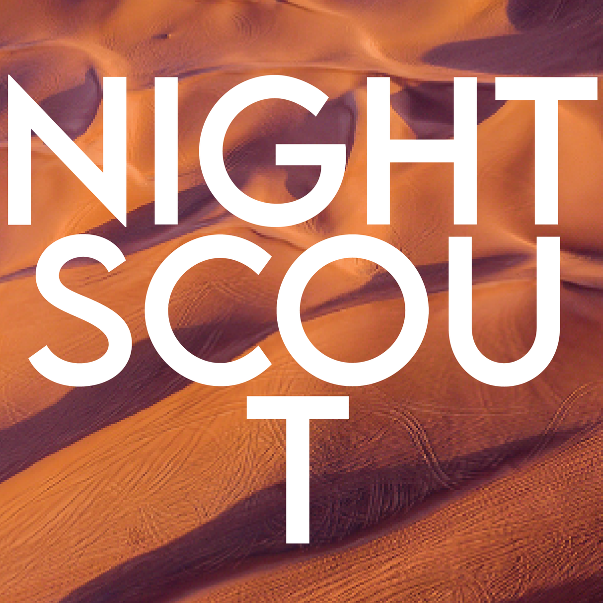 NIGHT SCOUT