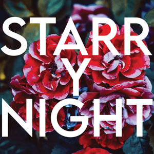 STARRY NIGHT