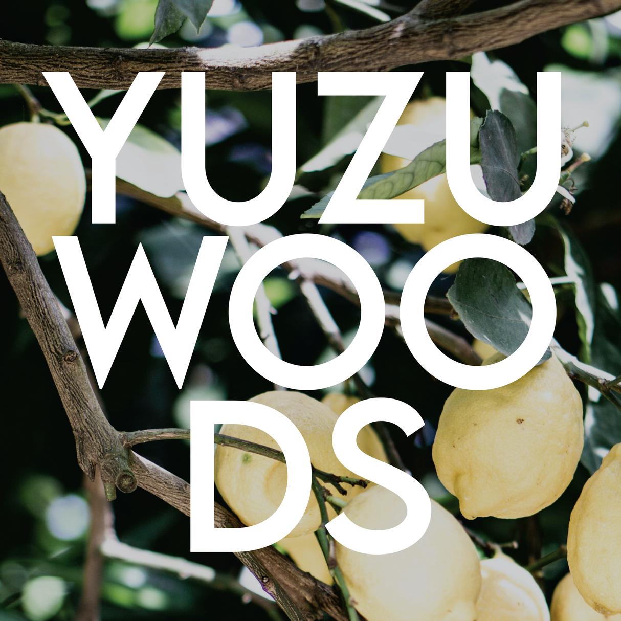 YUZU WOODS