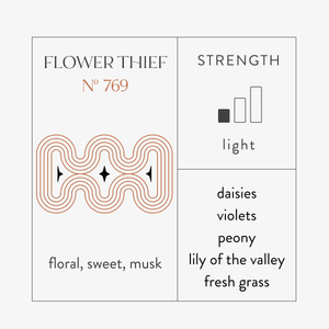 EHREE Scent Bottle + Plug-In